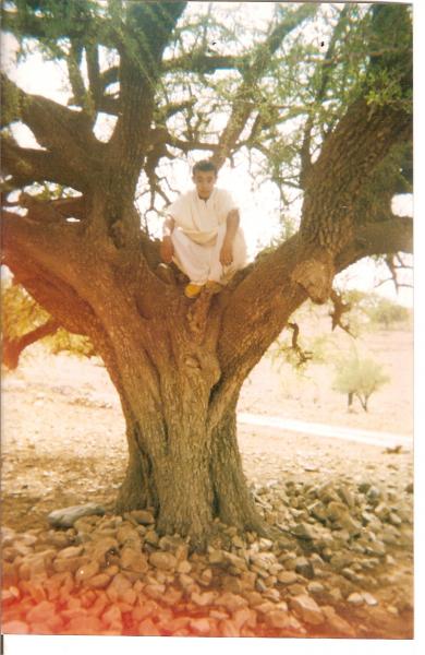 tafraout 2007